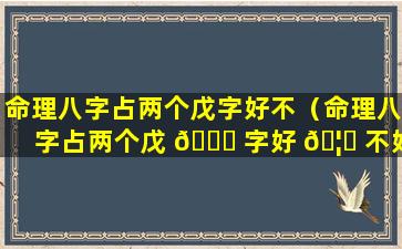 命理八字占两个戊字好不（命理八字占两个戊 🐒 字好 🦋 不好呀）